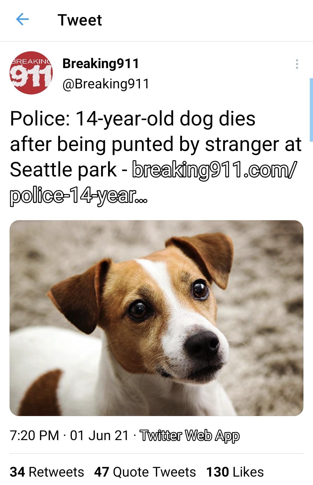 Tweet w Breaking911 U Breaking911 Police 14 year old dog dies after being punted by stranger at Seattle park breaking11comy police 14 year R 720 PM 01 Jun 21 Twfitier Wielb App 34 Retweets 47 Quote Tweets 130 Likes