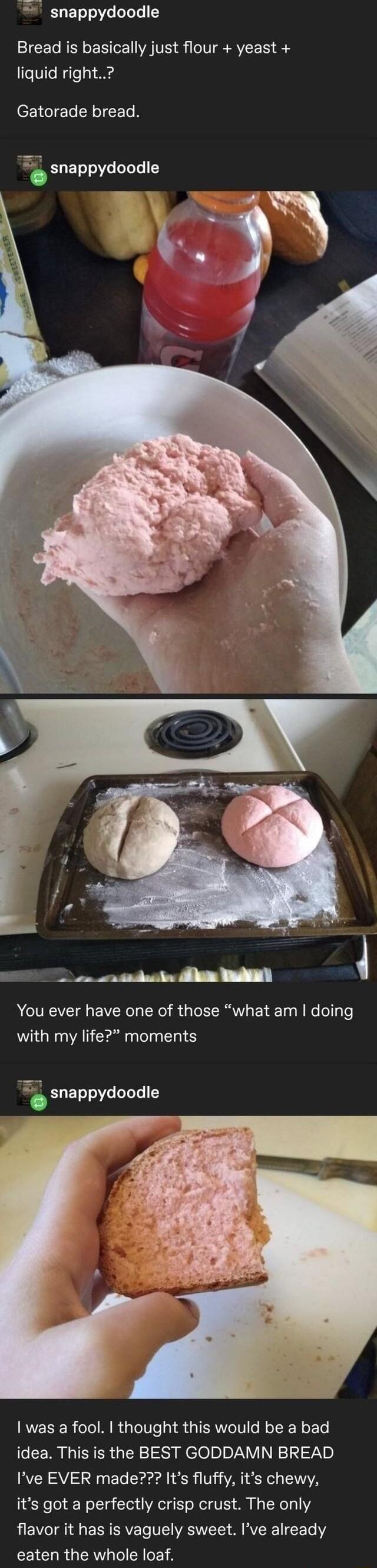 snappydoodle Bread is basically just flour yeast liquid right EGIELIN RN snappydoodle PR e You ever have one of those what am doing with my life moments RVELRER olo MR aTeTVTs IERNTe Vo N olR Nk To idea This is the BEST GODDAMN BREAD Ive EVER made Its fluffy its chewy its got a perfectly crisp crust The only B E VI EENERVE T T WASVET M RVERC Te eaten the whole loaf
