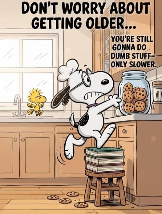 DON'T WORRY ABOUT GETTING OLDER... YOU'RE STILL GONNA DO DUMB STUFF - ONLY SLOWER.