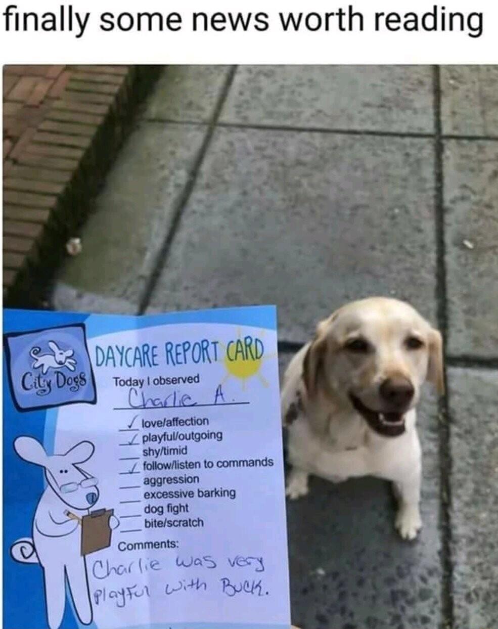 finally some news worth reading Comments e WeS vesy o L By