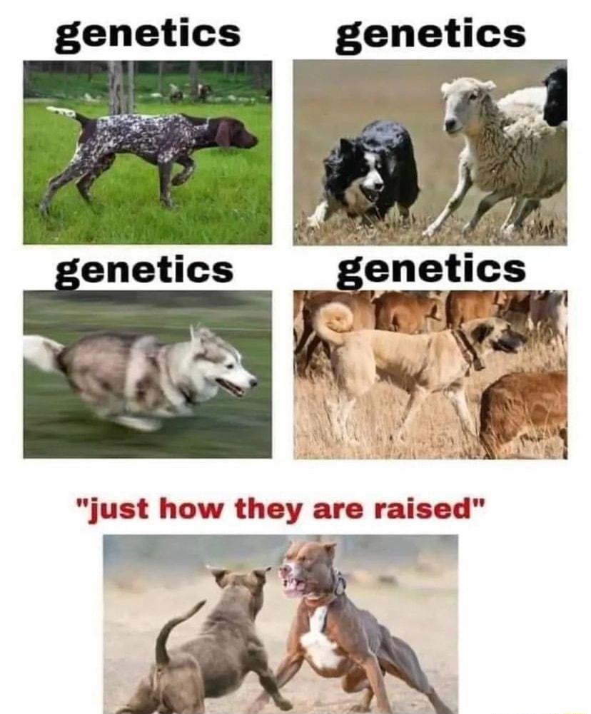 genetics genetics N S