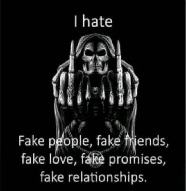 I hate Fake people, fake friends, fake love, fake promises, fake relationships.