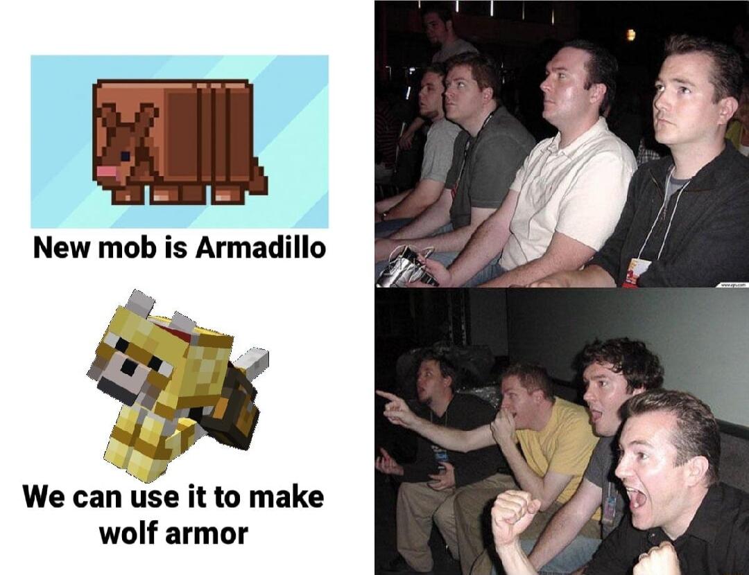 We can use it to make wolf armor