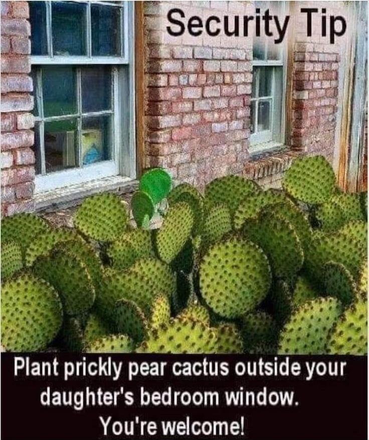 Security Tip Plant prickly pear cactus outside your daughter's bedroom window. You're welcome!
