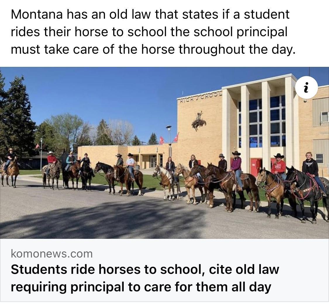 Montana has an old law that states if a student rides their horse to school the school principal must take care of the horse throughout the day e w i B komonewscom Students ride horses to school cite old law requiring principal to care for them all day