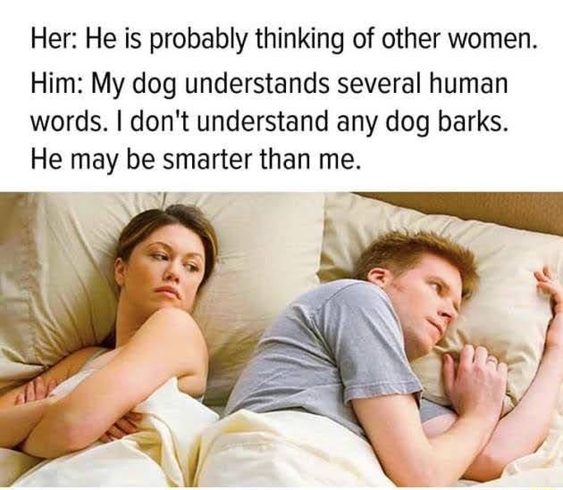 Her He is probably thinking of other women Him My dog understands several human words dont understand any dog barks He may be smarter than me b