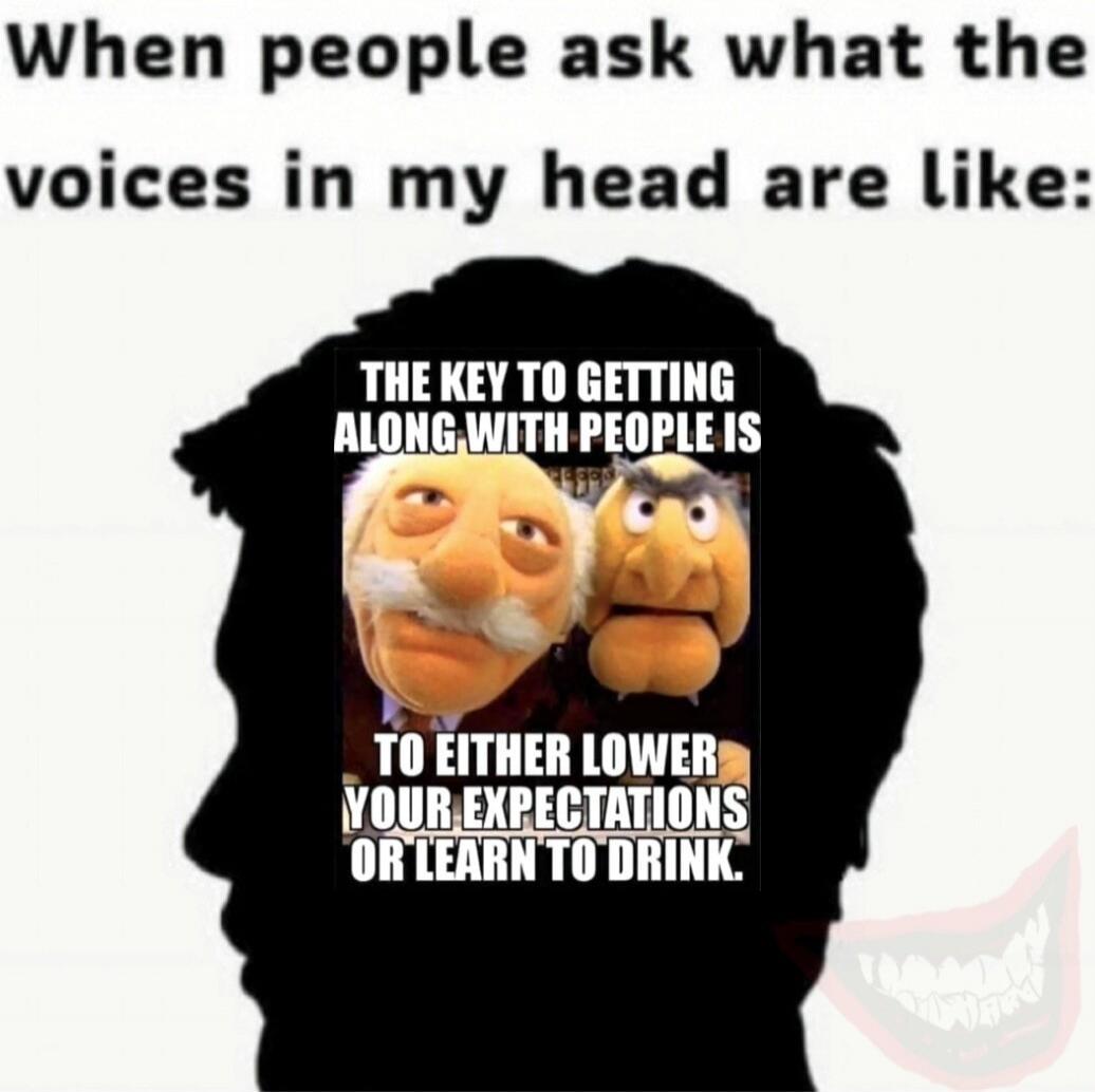When people ask what the voices in my head are like: THE KEY TO GETTING ALONG WITH PEOPLE IS TO EITHER LOWER YOUR EXPECTATIONS OR LEARN TO DRINK.