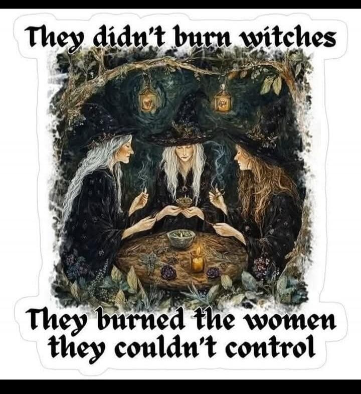 They didn't burn witches
They burned the women they couldn't control