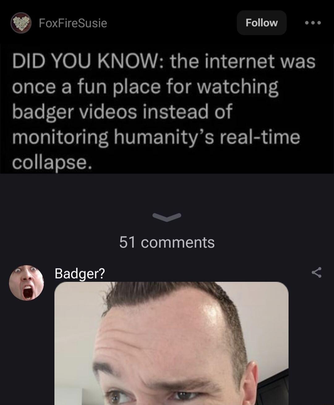 DID YOU KNOW: the internet was once a fun place for watching badger videos instead of monitoring humanity's real-time collapse. Badger?