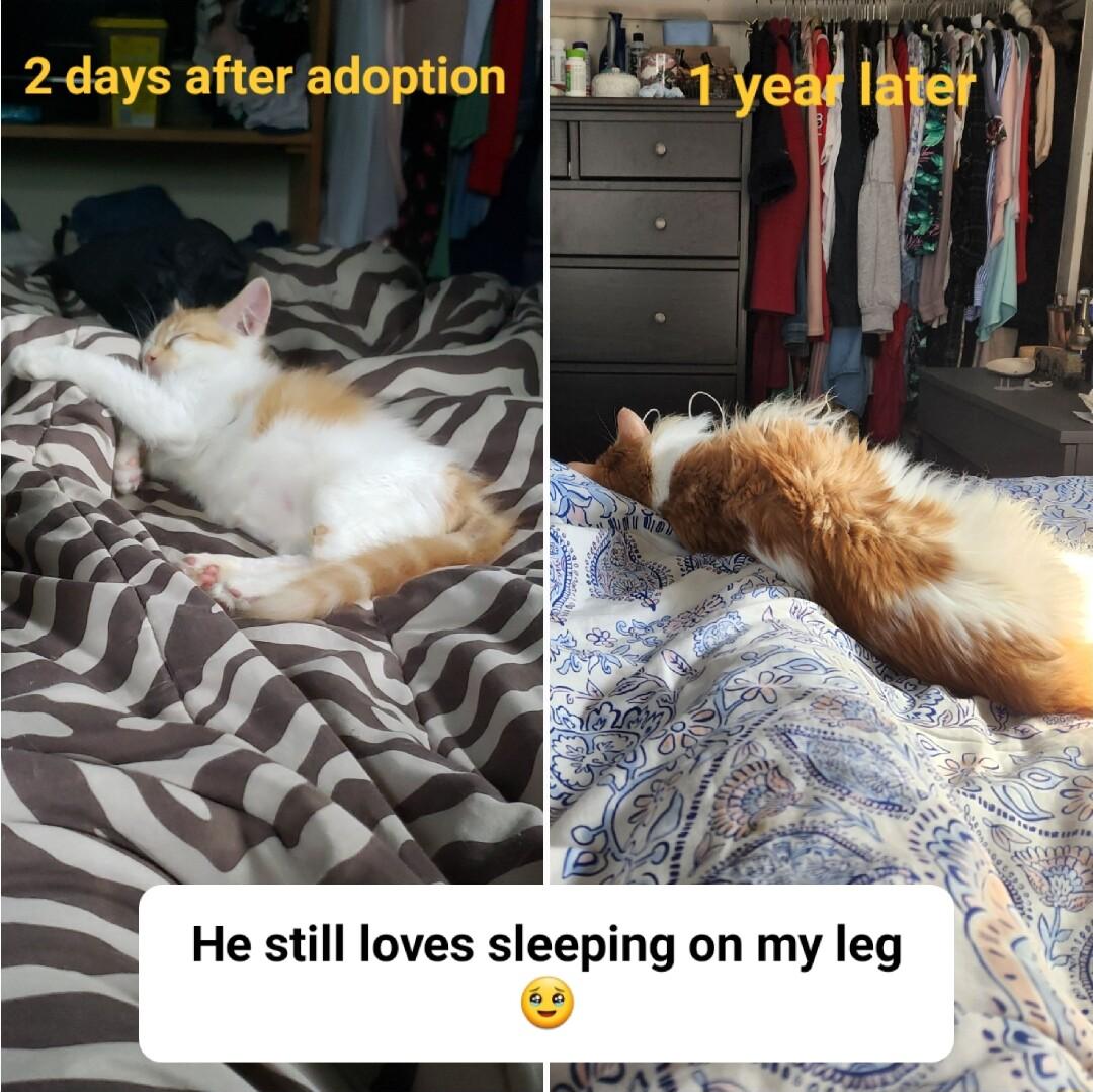 He still loves sleepil