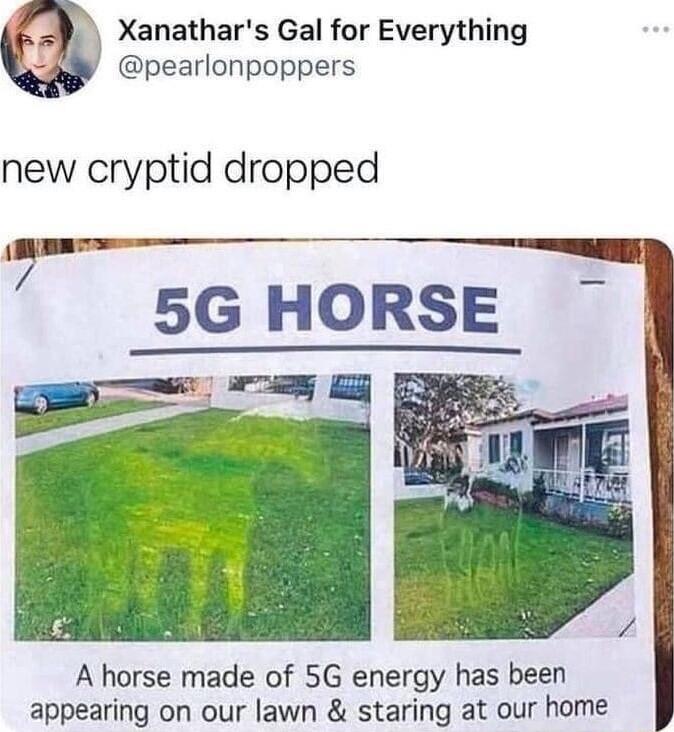 Xanathars Gal for Everything pearlonpoppers new cryptid dropped A horse made of 5G energy has been appearing on our lawn staring at our home