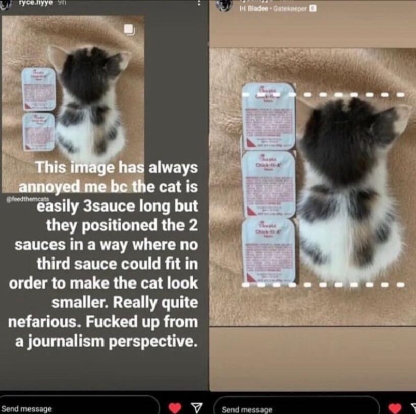 s catis gasily 3sauce long but they positioned the 2 sauces in a way where no third sauce could fitin order to make the cat look smaller Really quite nefarious Fucked up from a journalism perspective