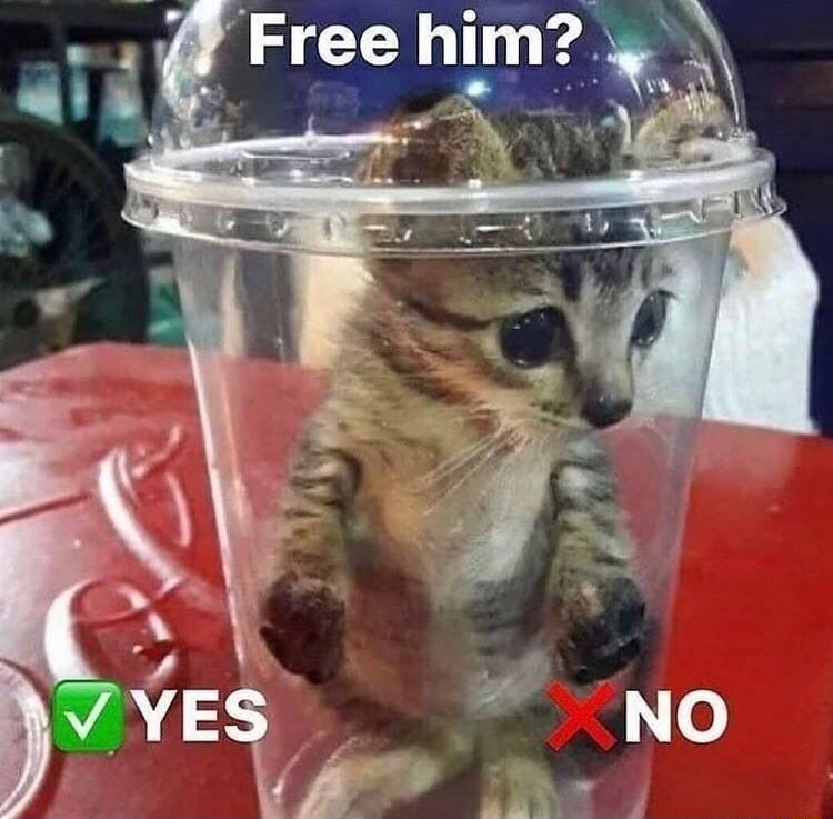 e Ji 3 _Freehlm