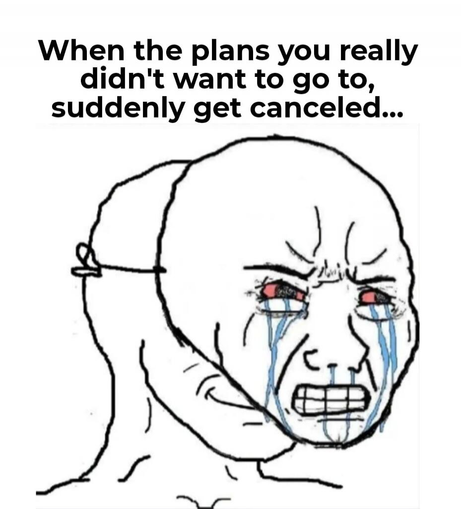 When the plans you really didn't want to go to, suddenly get canceled...