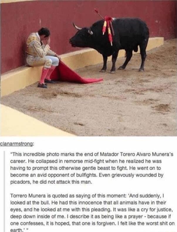 clanarmstrong This incredible photo marks the end of Matador Torero Alvaro Muneras career He collapsed in remorse mid fight when he reaiized he was having to prompt this otherwise gentie beast to fight He went on to become an avid opponent of bulfights Even grievously wounded by picadors he did not attack this man Torrero Munera is quoted as saying of this moment And suddenly looked at the bull He