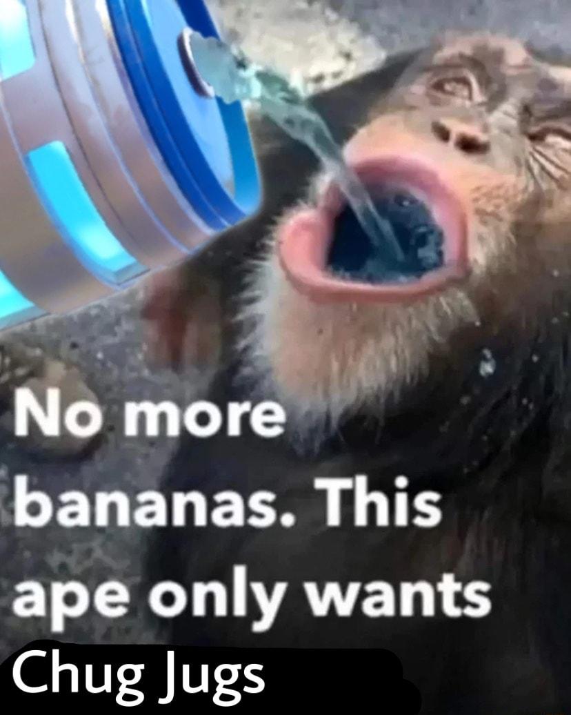 ibapnas This CT XL LANET TT J 1