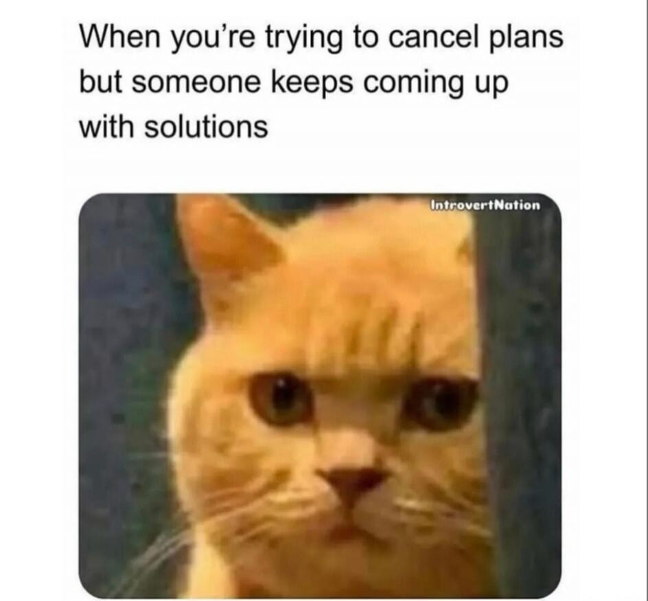 When you're trying to cancel plans but someone keeps coming up with solutions IntrovertNation
