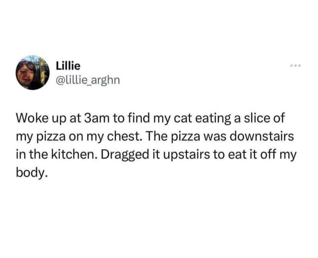 Lillie lillie arghn Woke up at 3am to find my cat eating a slice of my pizza on my chest The pizza was downstairs in the kitchen Dragged it upstairs to eat it off my body