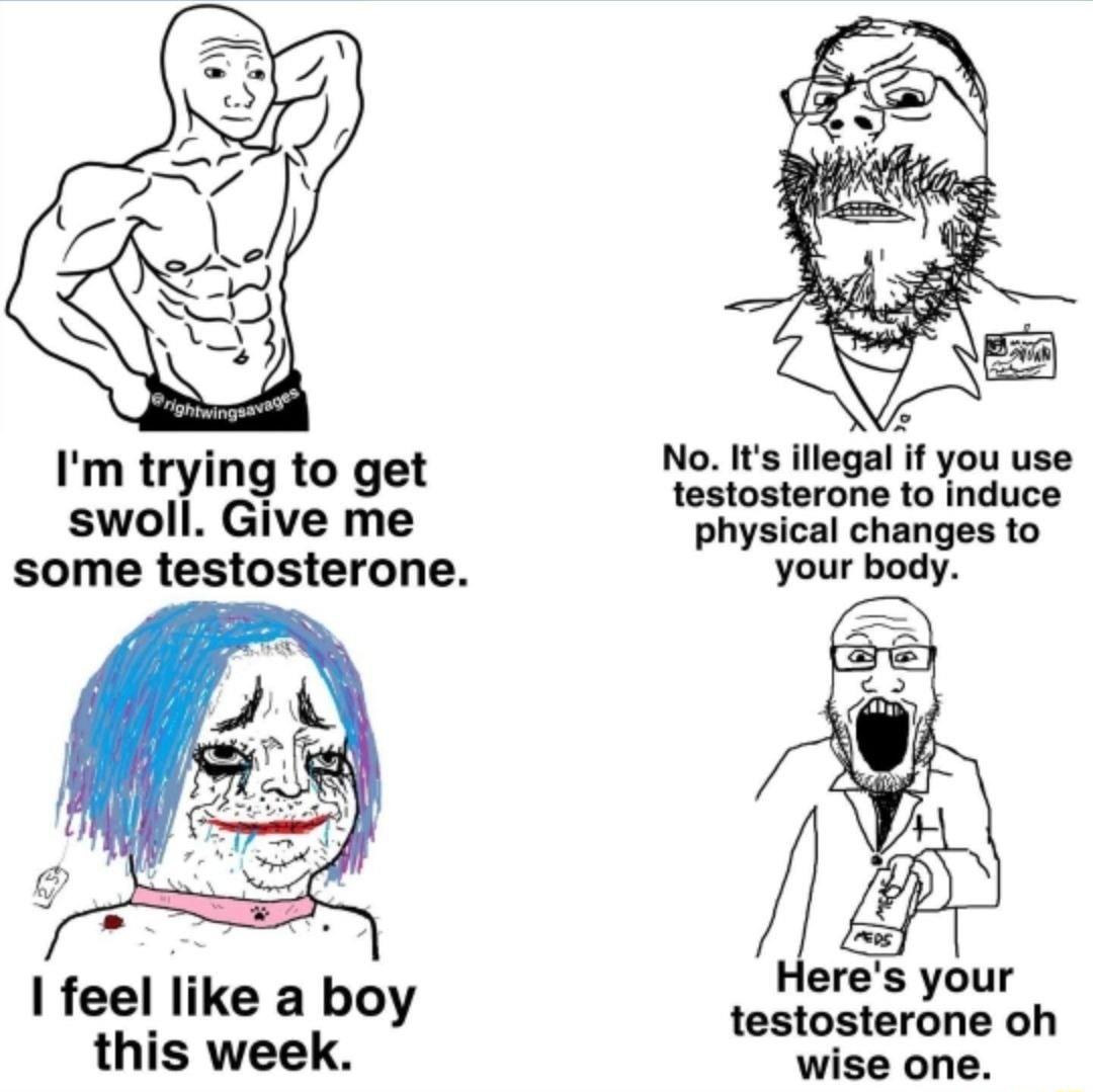 Im ter g to get swoll Give me some testosterone feel like a hoy this week No It illegal if you use testosterone to induce physical changes to your body leres your testosterone oh wise one