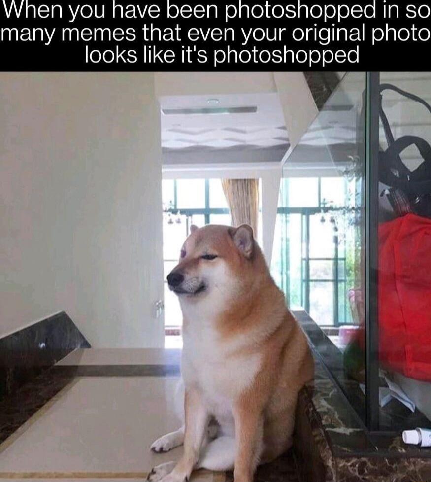 When you have olgeesale o oo NIgisie many memes that even your original photo looks like its photoshopped