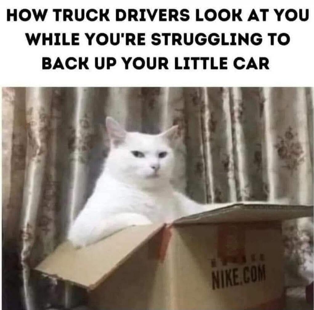 HOW TRUCK DRIVERS LOOK AT YOU WHILE YOU'RE STRUGGLING TO BACK UP YOUR LITTLE CAR