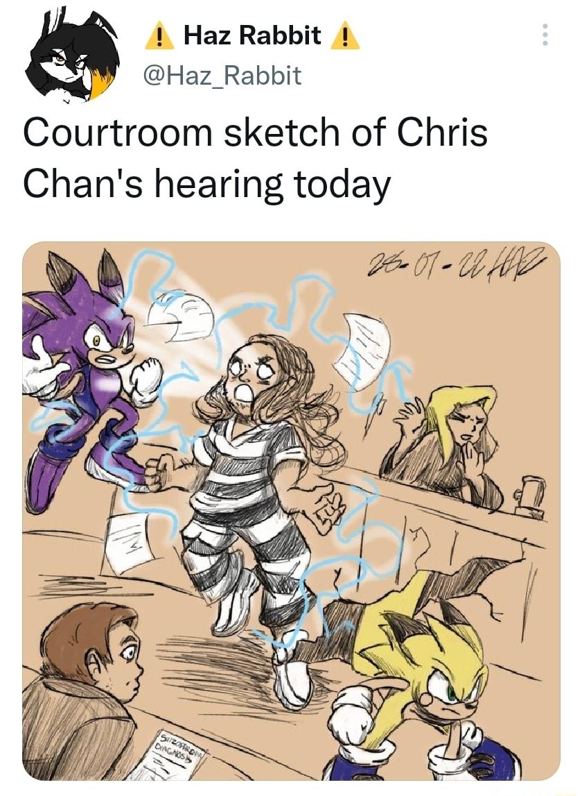 Haz Rabbit Haz_Rabbit Cdurtroom sketch of Chris Chans hearing today