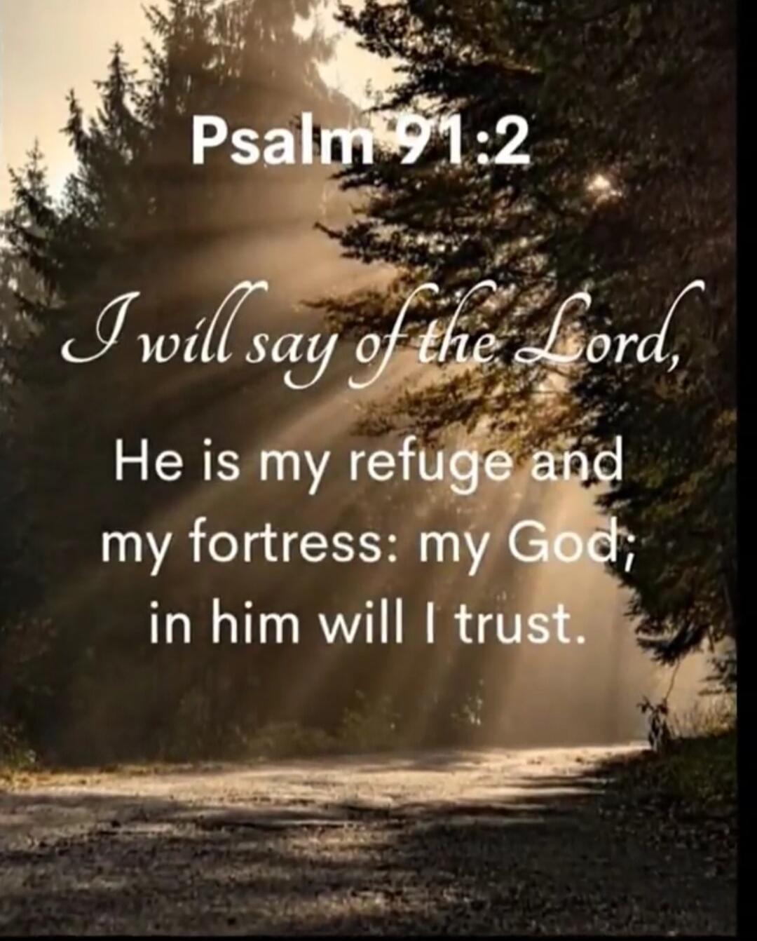 Psalm 91:2
I will say of the Lord, He is my refuge and my fortress: my God; in him will I trust.