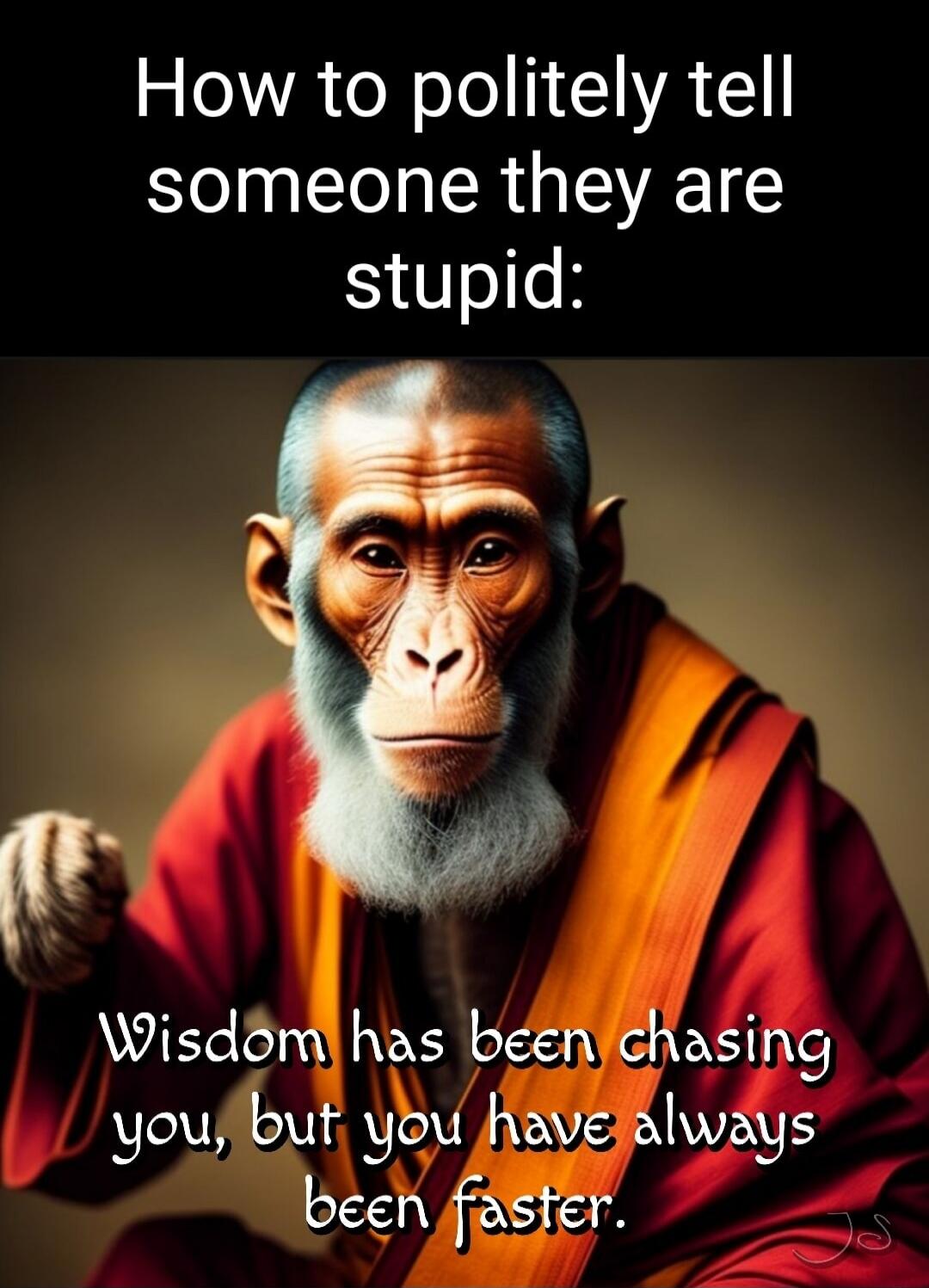 How to politely tell someone they are stupid: Wisdom has been chasing you, but you have always been faster.