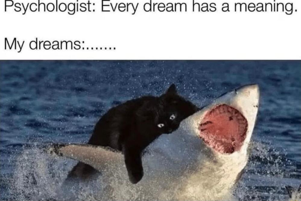 daream has a meaning
