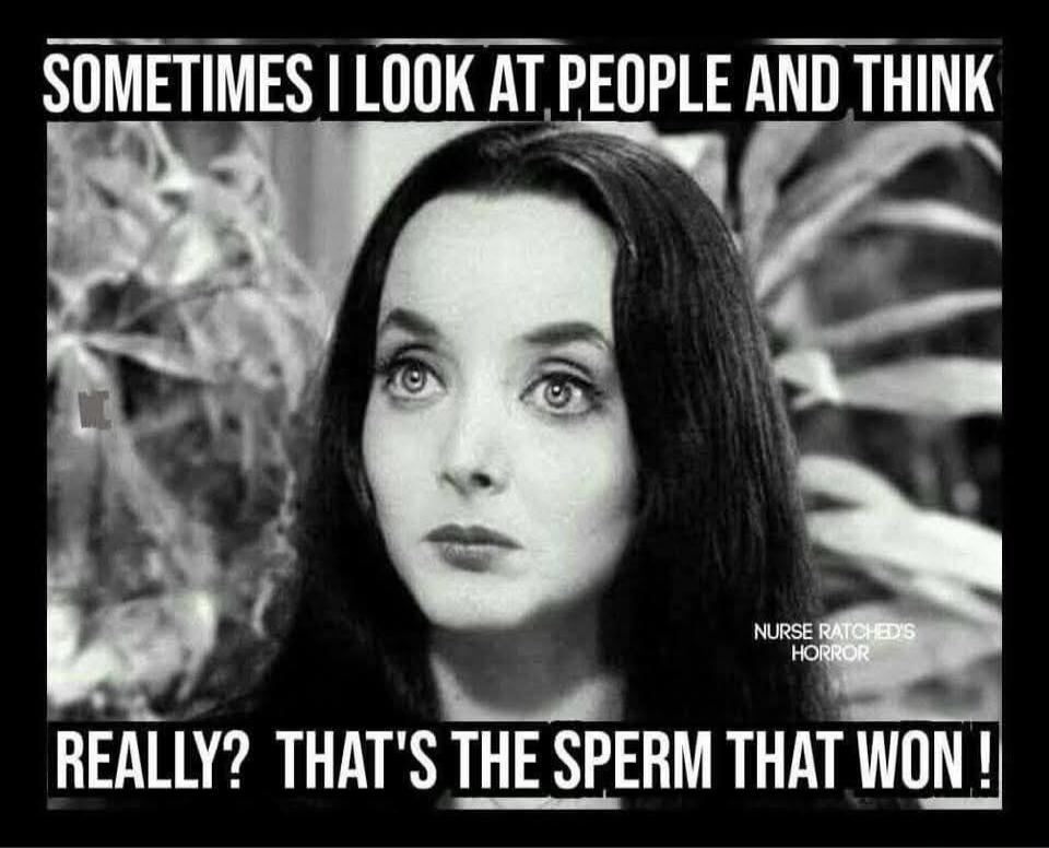 SOMETIMES I LOOK AT PEOPLE AND THINK REALLY? THAT'S THE SPERM THAT WON!