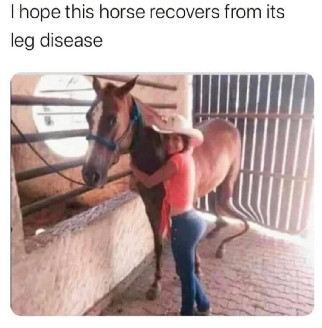 hope this horse recovers from its leg disease