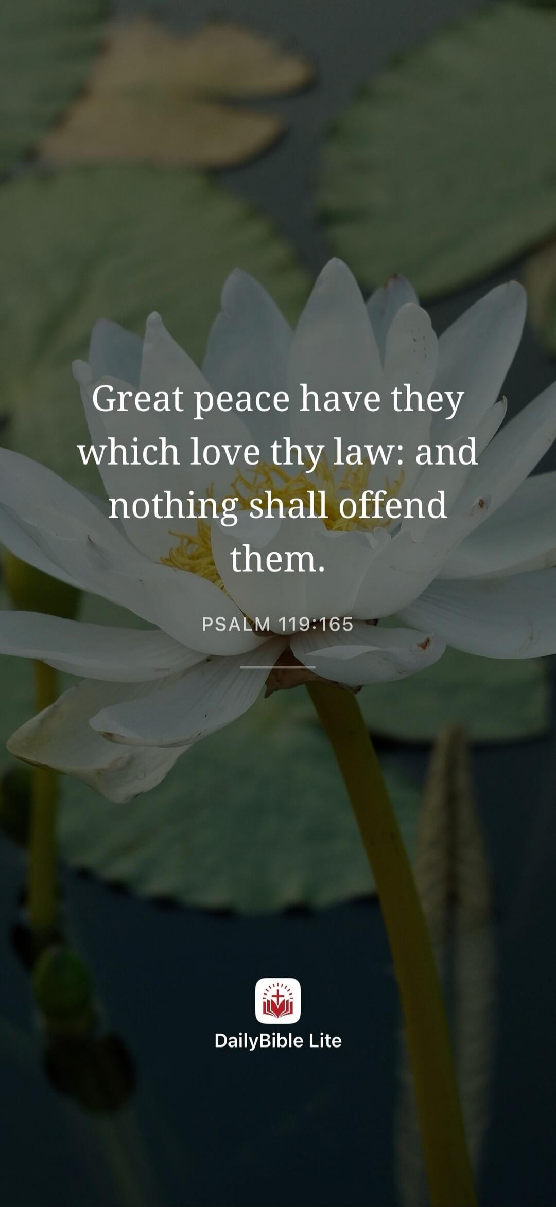 Great peace have they which love thy law: and nothing shall offend them. PSALM 119:165 DailyBible Lite