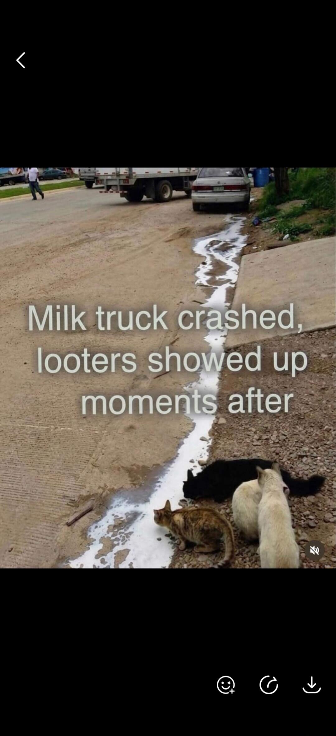 Milk truck crashed, looters showed up moments after
