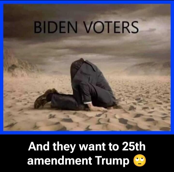 BIDEN VOTERS And they want to 25th amendment Trump 🙄