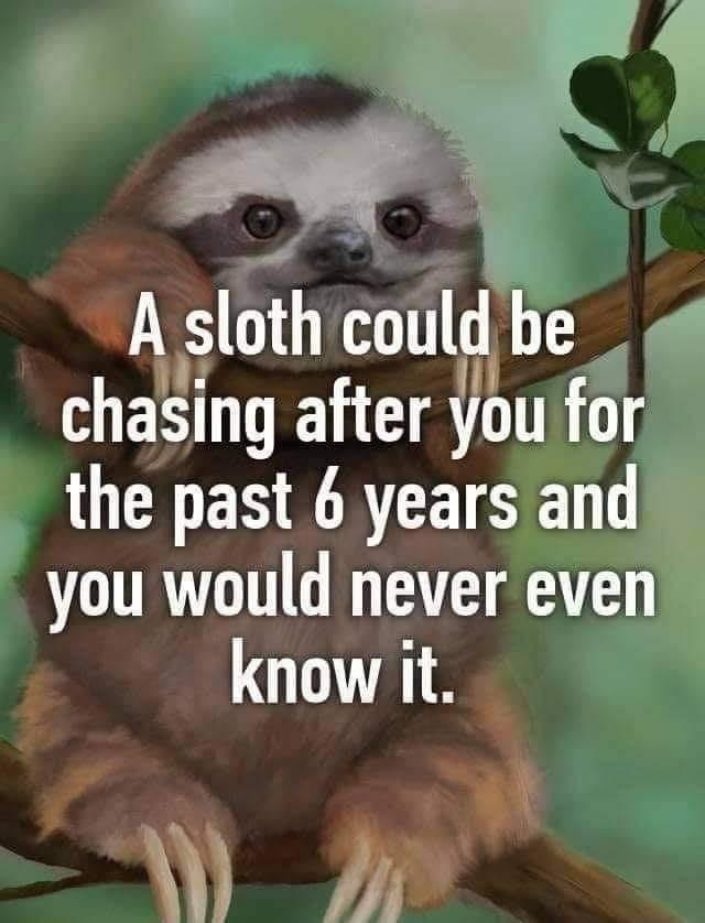 A sloth could be _ chasmg after you 1 UG ESERTEISE N you would never even know it W