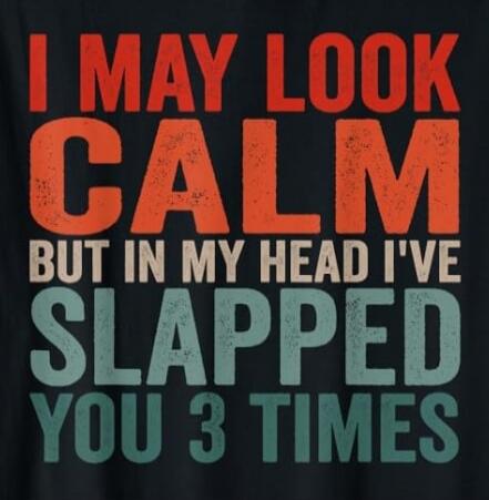 I MAY LOOK CALM BUT IN MY HEAD I'VE SLAPPED YOU 3 TIMES