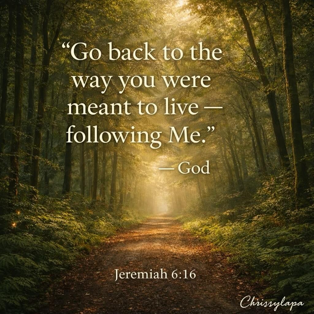 Go back to the way you were meant to live - following Me. - God. Jeremiah 6:16.