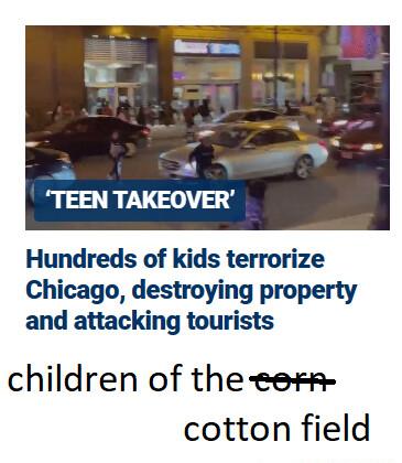 Hundreds of kids terrorize Chicago destroying property and attacking tourists children of theeesn cotton field