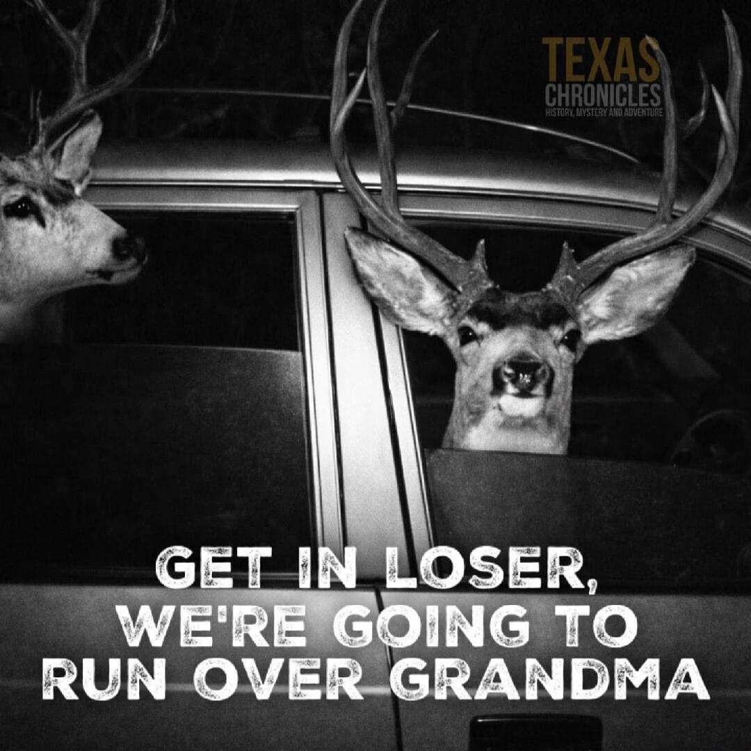 GET IN LOSER, WE'RE GOING TO RUN OVER GRANDMA