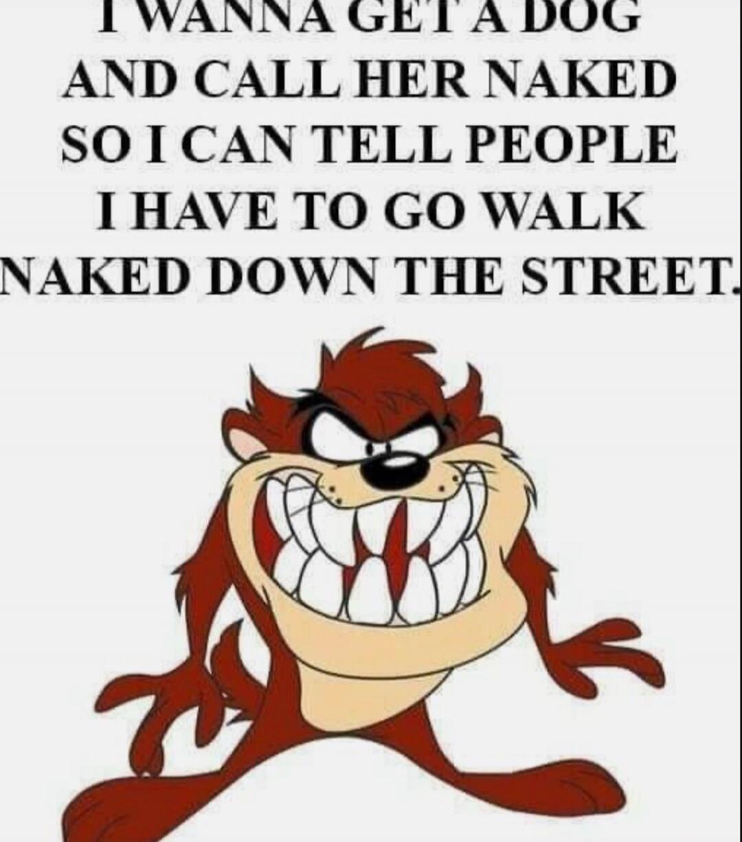 I WANNA GET A DOG AND CALL HER NAKED SO I CAN TELL PEOPLE I HAVE TO GO WALK NAKED DOWN THE STREET.