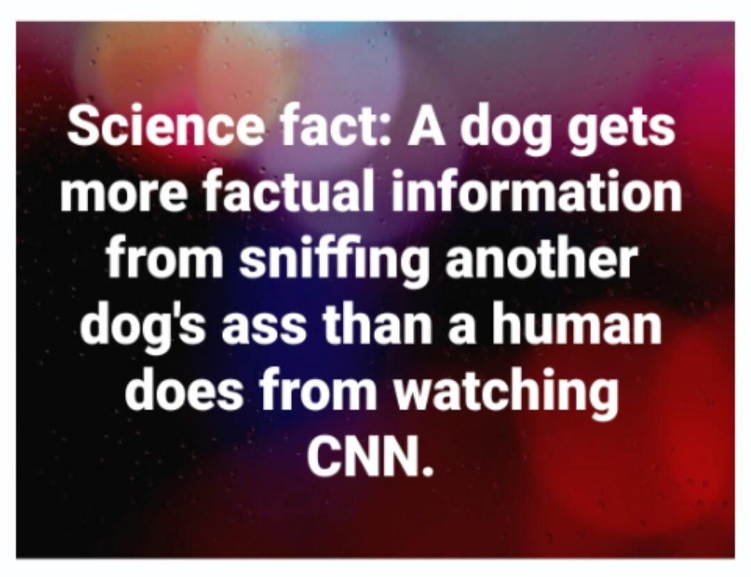Science fact: A dog gets more factual information from sniffing another dog's ass than a human does from watching CNN.