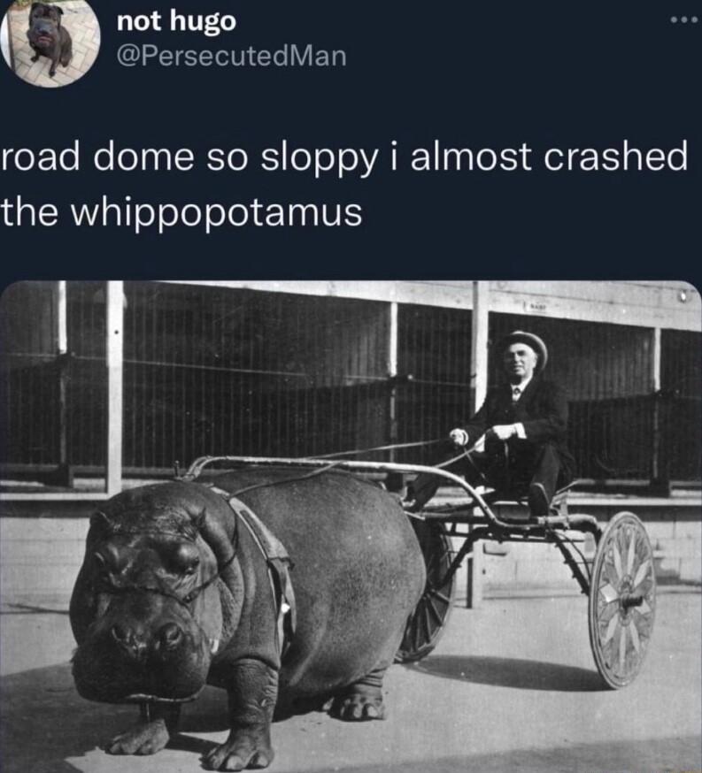 5 not hugo CLEEEENEL V road dome so sloppy i almost crashed aCRWpTToTelefelel I V