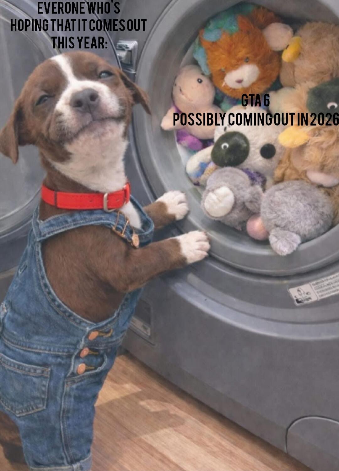 EVERONE WHO'S HOPING THAT IT COMES OUT THIS YEAR:
GTA 6 POSSIBLY COMING OUT IN 2026