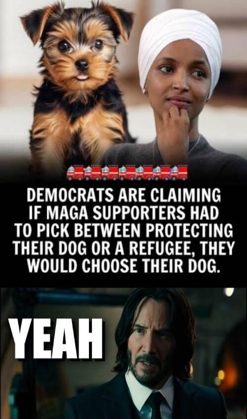 DEMOC RATS ARE CLAIMING IF MAGA SUPPORTERS HAD TO PICK BETWEEN PROTECTING THEIR DOG OR A REFUGEE, THEY WOULD CHOOSE THEIR DOG. YEAH