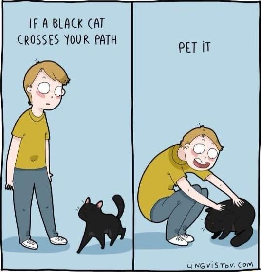 IF A BLACK CAT CROSSES YOUR PATH PETIT Li NG ViS Tov oM