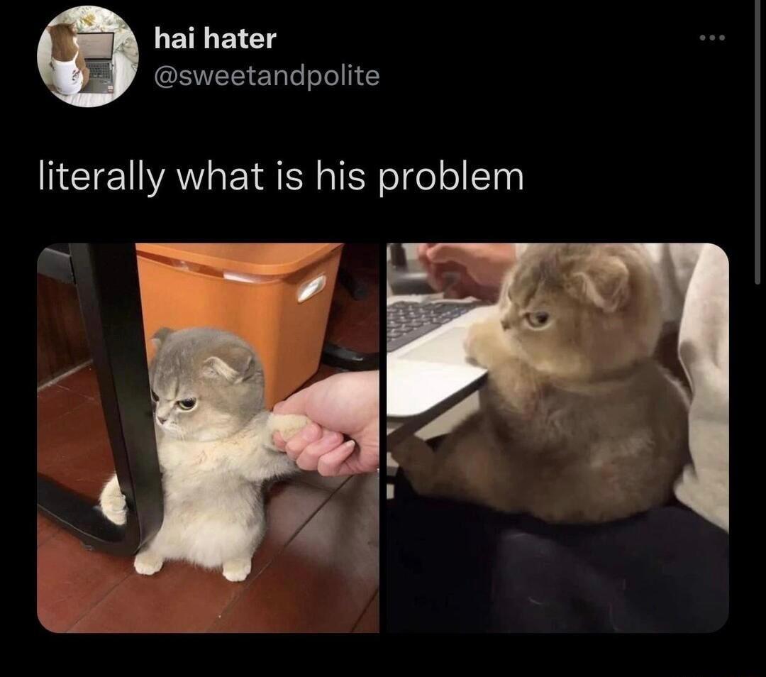 hai hater sweetandpolite literally what is his problem