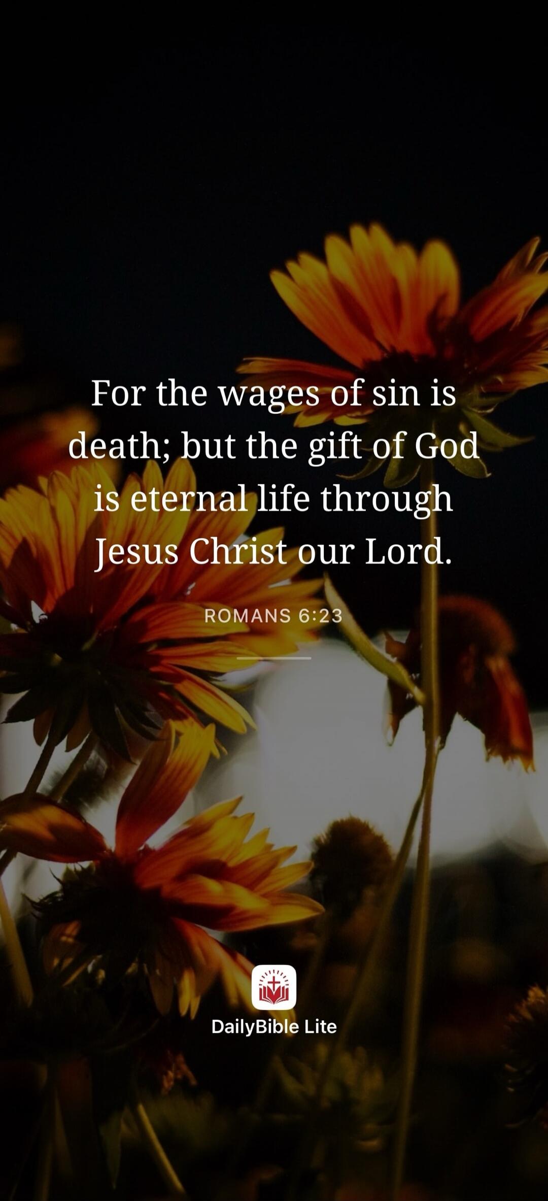 For the wages of sin is death; but the gift of God is eternal life through Jesus Christ our Lord. ROMANS 6:23. DailyBible Lite.