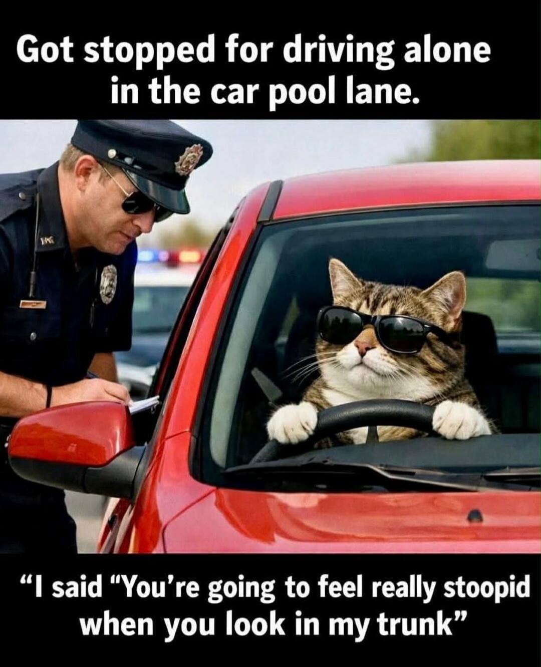 Got stopped for driving alone in the car pool lane. 