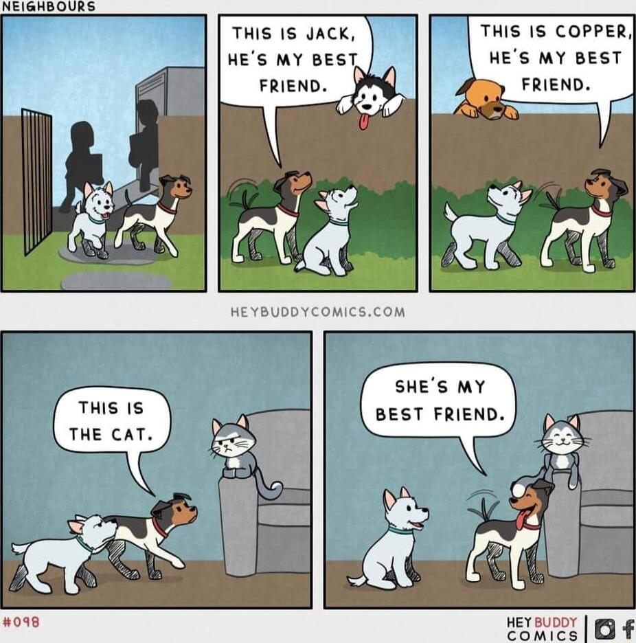 THIS 1S JACK THIS IS COPPER Hes my BEST SHES MY BEST FRIEND