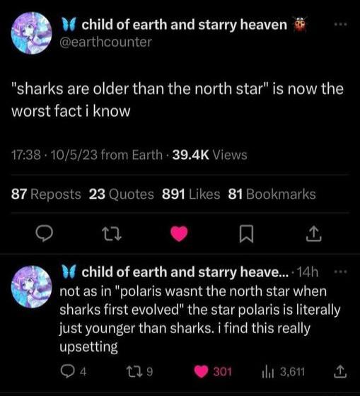 W child of earth and starry heaven earthcounter sharks are older than the north star is now the worst fact i know UEcERRVETPRR IR ST GRE X QU 87 Reposts 23 Quotes 891 Likes 81Bookmarks Q u L 4 R W child of earth and starry heave 14h not as in polaris wasnt the north star when sharks first evolved the star polaris is literally Jjust younger than sharks i find this really RN TS Qa 9 201 il 361 b A